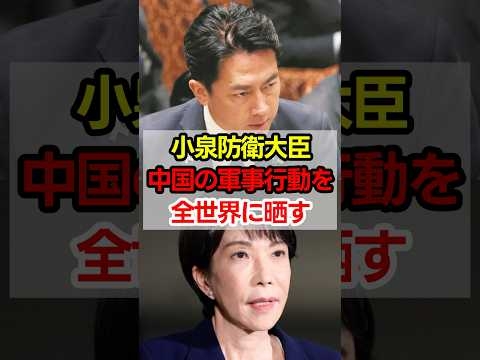 小泉防衛大臣、もう黙ってない！#高市政権 #政治 #shorts