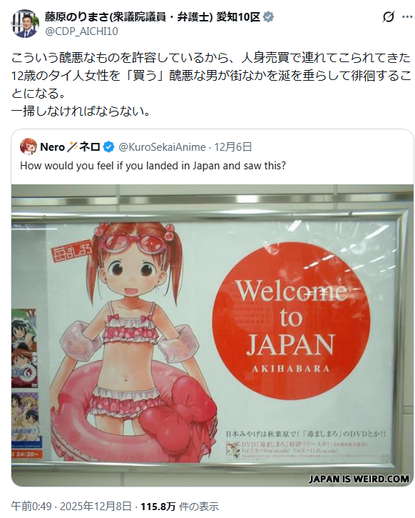 立民衆院議員、人気漫画の水着少女画像を「醜悪」タイ人少女の性搾取事件と関連付け…党内で反発