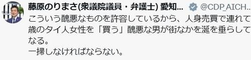 立民衆院議員、人気漫画の水着少女画像を「醜悪」タイ人少女の性搾取事件と関連付け…党内で反発 - 政治 : 日刊スポーツ