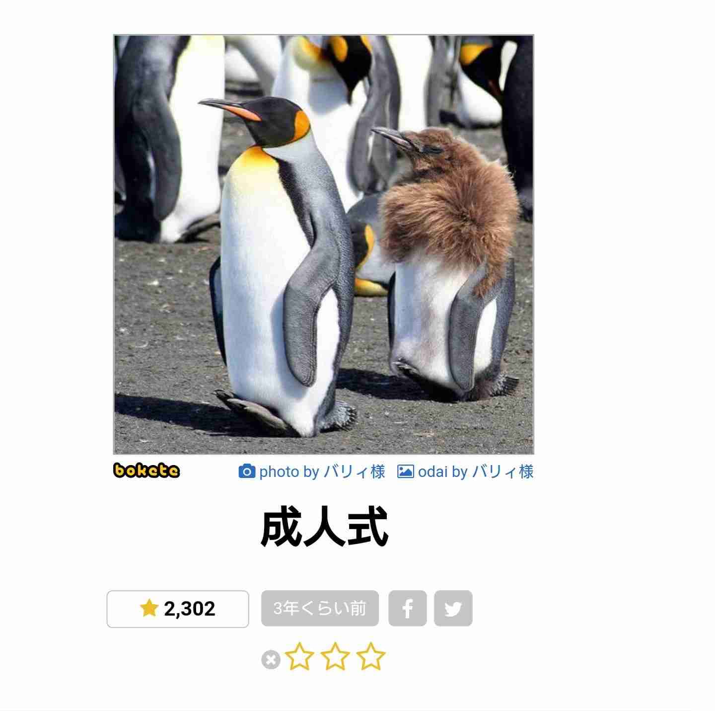 【2025年】boketeの貼り納めトピ