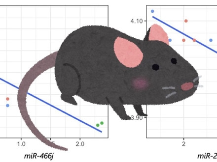 老化で精子の遺伝子制御が変化、子の神経発達障害リスクに 東北大 | Science Portal - 科学技術の最新情報サイト「サイエンスポータル」