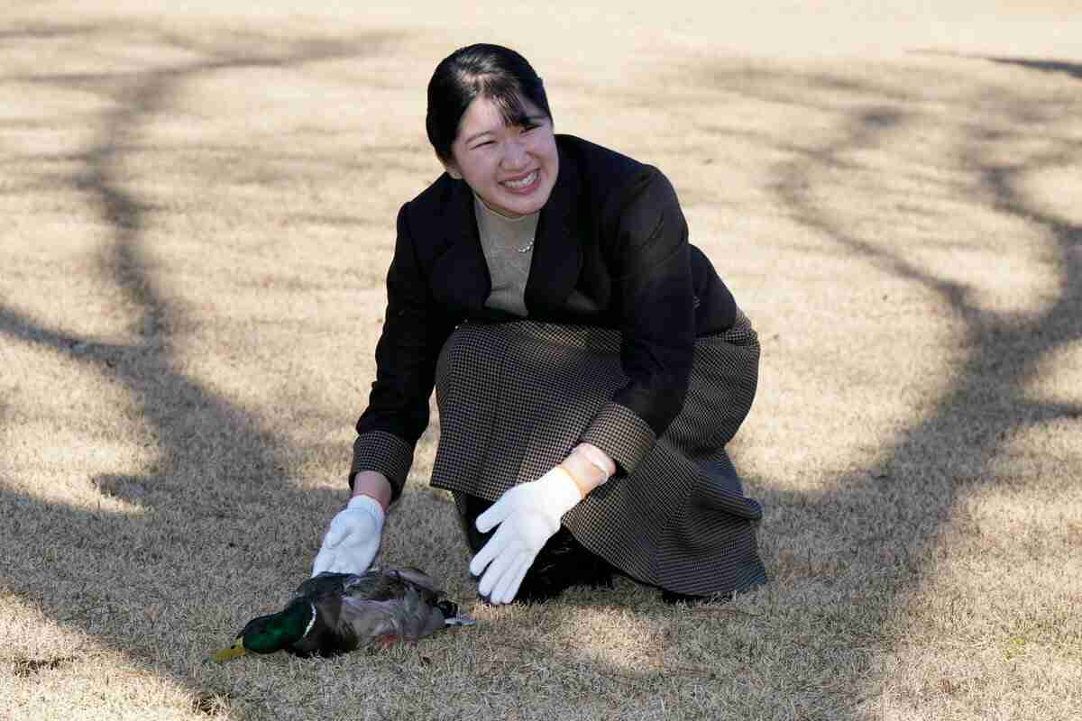 愛子さまが放した鴨が、まさかの「脱力ハプニング」　専門家が指摘する鴨の「フリーズ」と「愛子さまらしさ」（AERA DIGITAL） - Yahoo!ニュース