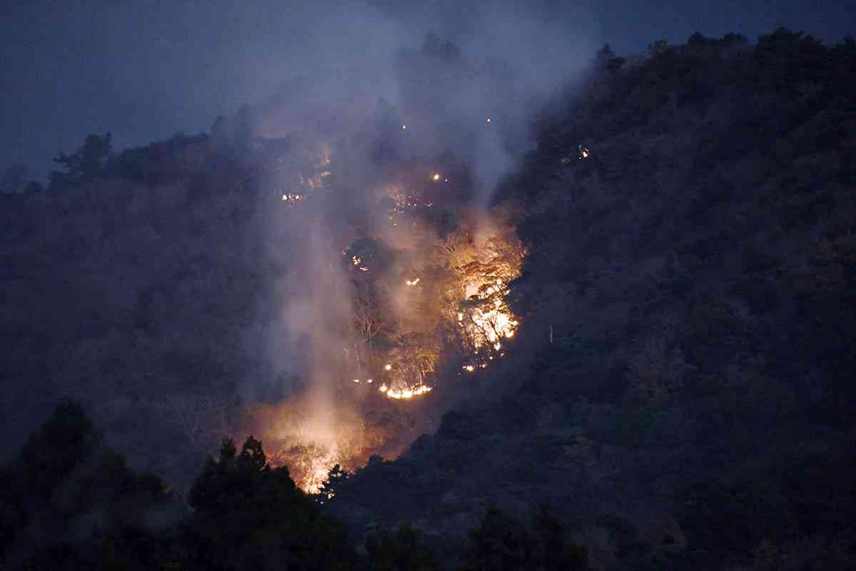 「山の中腹から煙が」伊勢原・日向地区の山林で火事、１０日朝から消火活動開始へ（カナロコ by 神奈川新聞） - Yahoo!ニュース
