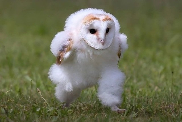 かつてネットで話題になった人たちを懐かしむトピ