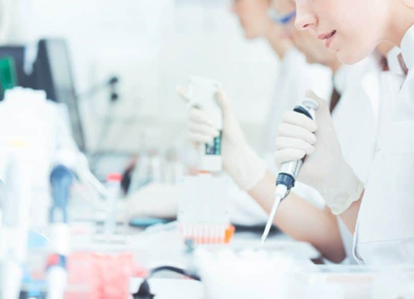 高学歴ワーキングプア「ポスドク問題」は本当に解消できるのか!? | PRESIDENT Online（プレジデントオンライン）