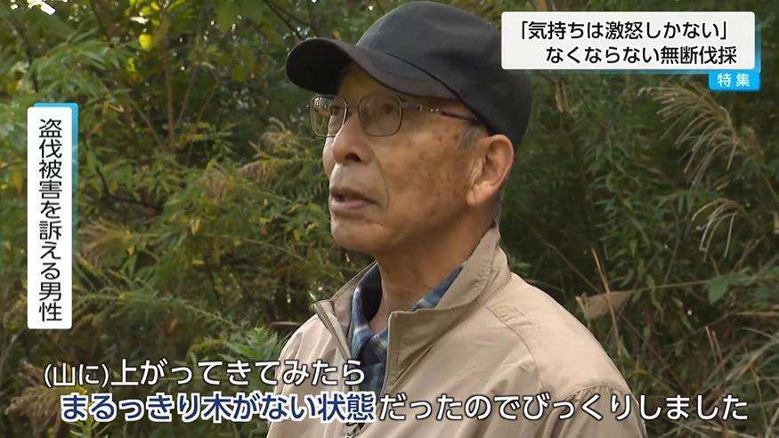 「激怒しかありません」宮崎で相次ぐ山林無断伐採の実態 ー被害者の悲痛な叫び・伐採業者は「盗伐ではなく誤伐」と主張ー