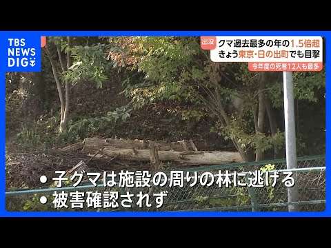 【東京でもクマ】ごみ処理施設付近の林に逃げたか　東京･日の出町　今年度のツキノワグマ出没件数“1.5倍増加”｜TBS NEWS DIG