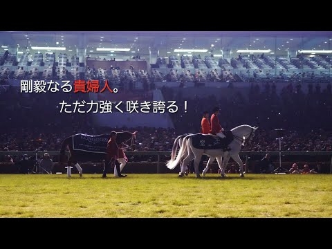 ～ドラマ  ザ・ロイヤルファミリー風に作ってみた④～玉置浩二『 ファンファーレ』×ジェンティルドンナ『2014年  第59回有馬記念』