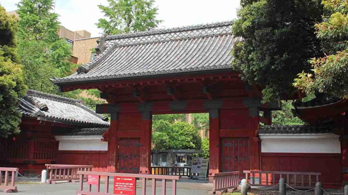 中国人は｢高1レベルの試験｣を使って東大に合格している…日本に押し寄せる外国人留学生の｢知られざる目的｣ (2ページ目) | PRESIDENT Online（プレジデントオンライン）