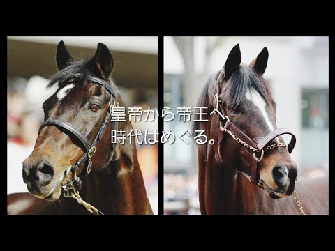 ～ドラマ  ザ・ロイヤルファミリー風に作ってみた②～玉置浩二『 ファンファーレ』×トウカイテイオー『1993年  第38回有馬記念』