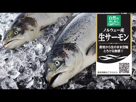 自然のあしあと。ノルウェー産生アトランティックサーモン