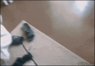 寝る前にクスッとする画像part8
