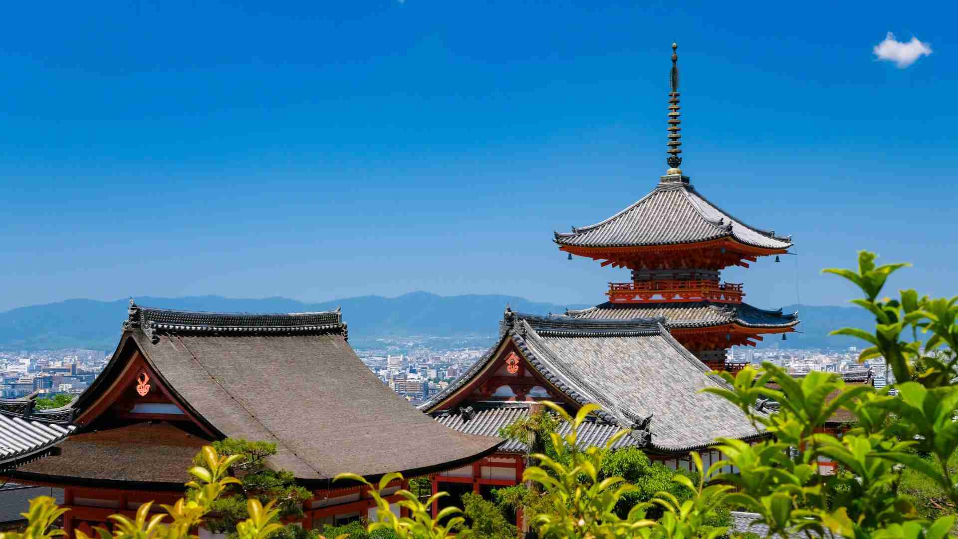 逮捕された中国籍の男はなぜ怒った？　京都で中国人観光客が中国人に切りつけられた事件は何を暗示するのか #エキスパートトピ（中島恵） - エキスパート - Yahoo!ニュース