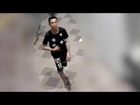 ベトナム人男を公開手配　警察官刺傷容疑　大阪府警