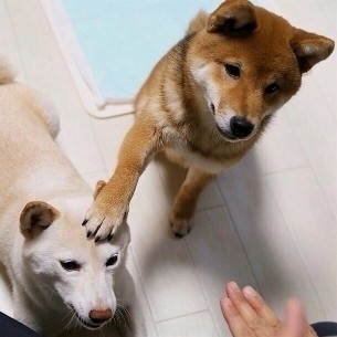 寝る前にクスッとする画像part8