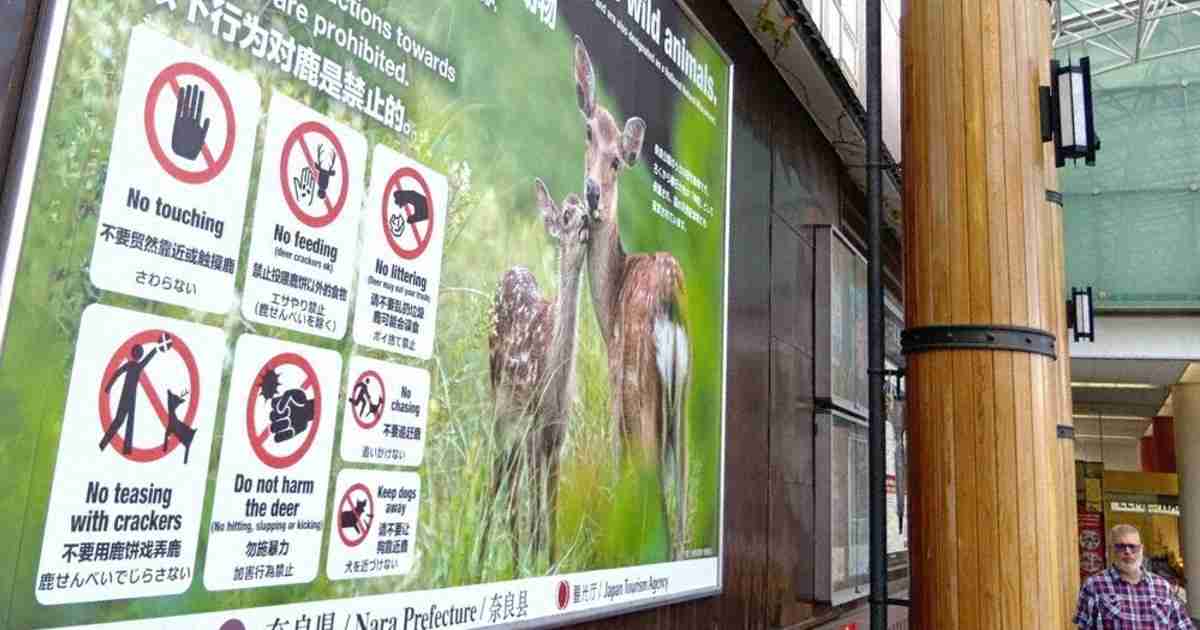「鹿せんべいでじらさない」　奈良公園の「シカマナー」、看板で周知