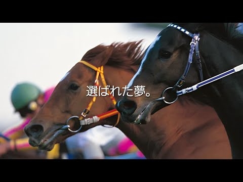 ～ドラマ  ザ・ロイヤルファミリー風に作ってみた①～玉置浩二『 ファンファーレ』×グラスワンダー『1999年  第44回有馬記念』
