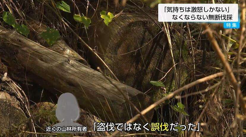 「激怒しかありません」宮崎で相次ぐ山林無断伐採の実態 ー被害者の悲痛な叫び・伐採業者は「盗伐ではなく誤伐」と主張ー