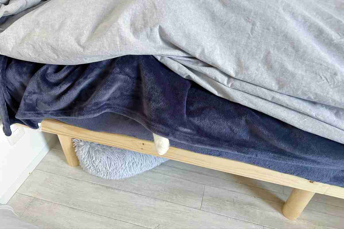 「今年も猫に見送ってもらえない季節が来た」寒い朝の独特な「行ってらっしゃい」に3.3万“いいね”　「それがねこ」