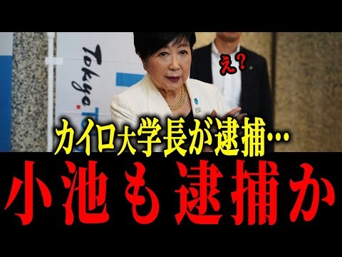 ※汚職事件起こし懲役刑…ついに小池も逮捕間近か…？【小池百合子 さとうさおり  片山さつき 東京都議会】