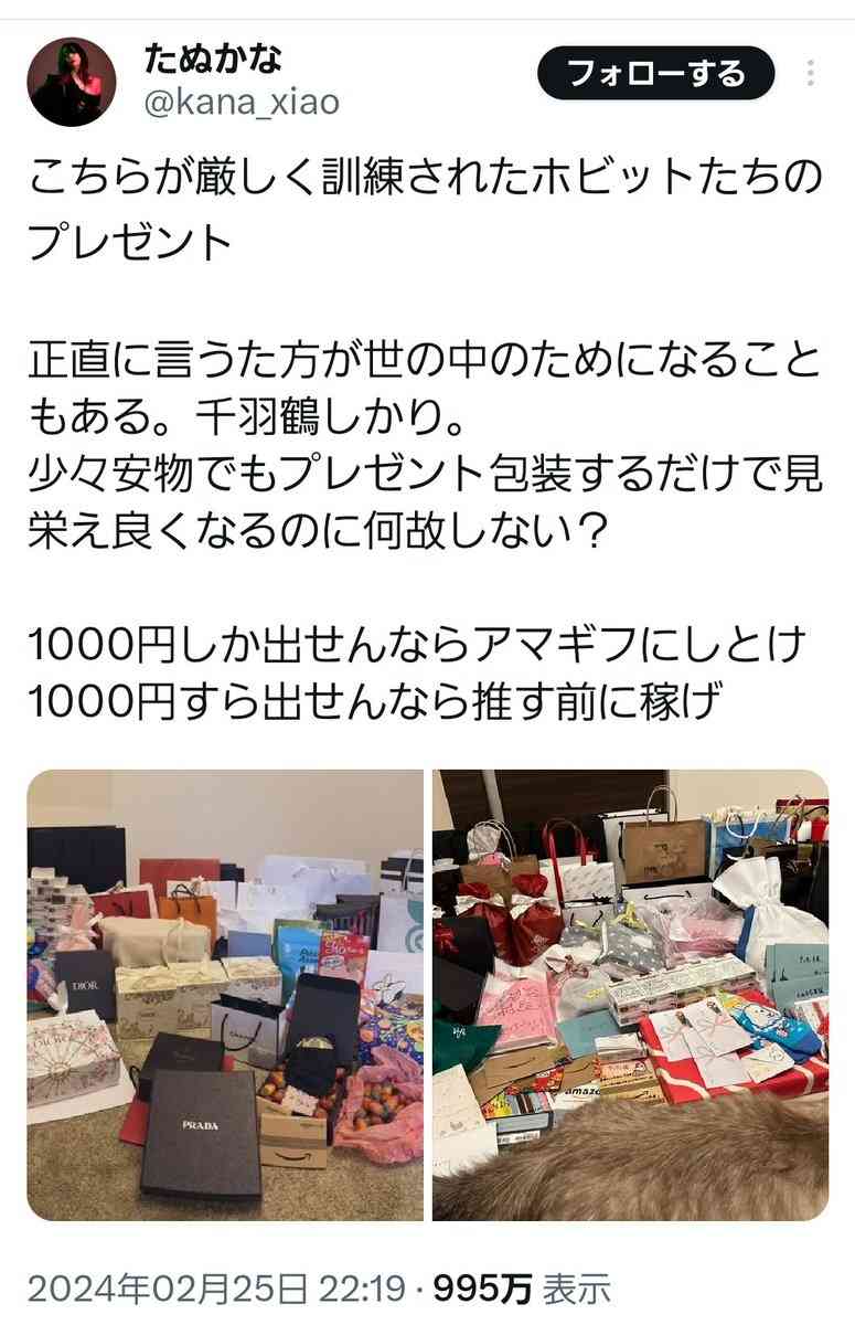 “結婚隠し”が物議のたぬかな、イベント出演を見送り 運営が説明「本人および来場者の安全確保を…」