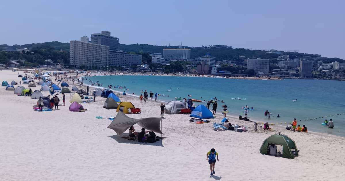 和歌山・白浜ポストパンダ戦略は観光客増で意外に健闘　町長「これまで思考止まっていた」 - 産経ニュース