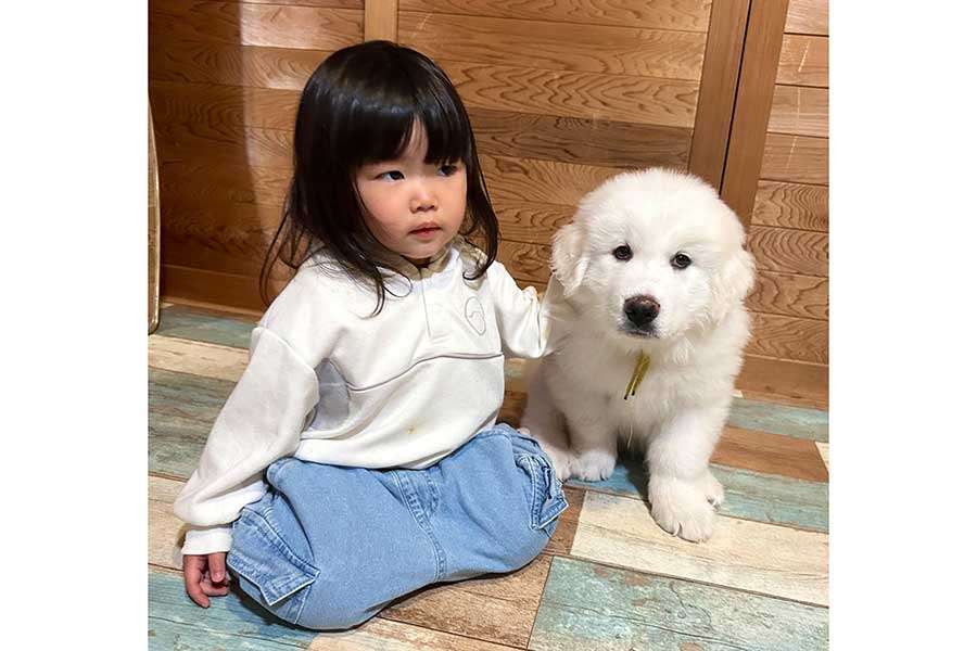 「超大型犬の成長速度　半端ないって」　わずか8か月で体重38キロに　衝撃的な比較写真に3.6万“いいね”