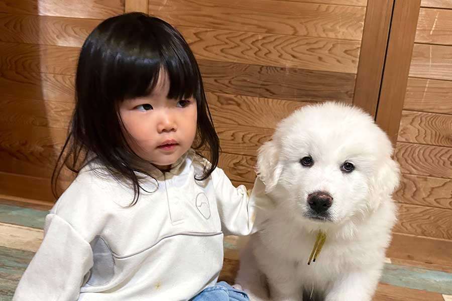 「超大型犬の成長速度　半端ないって」　わずか8か月で体重38キロに　衝撃的な比較写真に3.6万