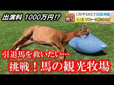 「使い方わかっているんだな」…牧場で目にした元競走馬の脱力系ニュースを深堀り
