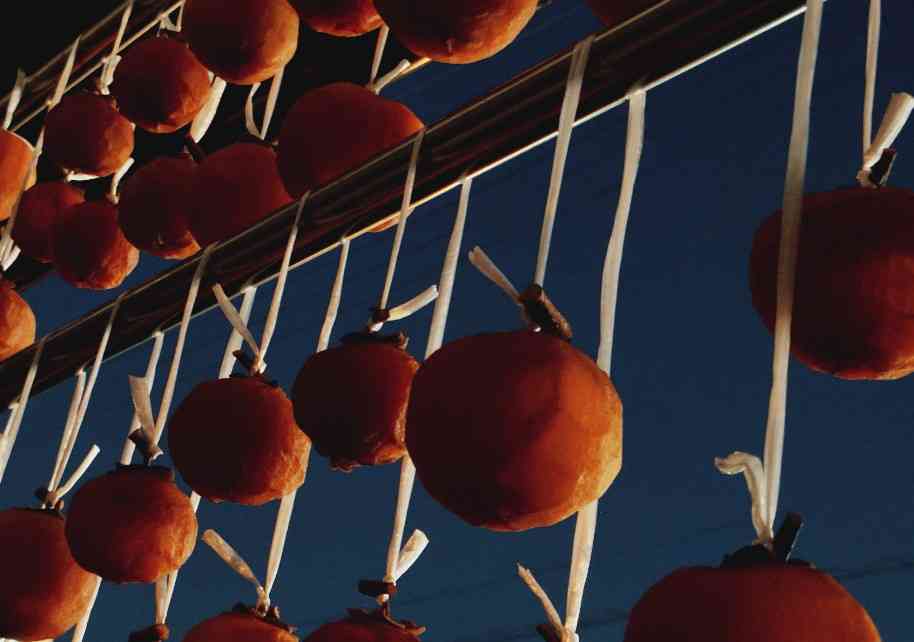 年末年始の我が家の情景を貼るトピpart4