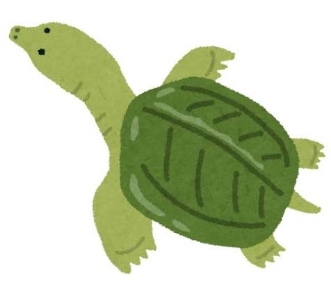 スッポン料理食べた事ある人！