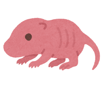 この姓だとこんなあだ名で呼ばれがち