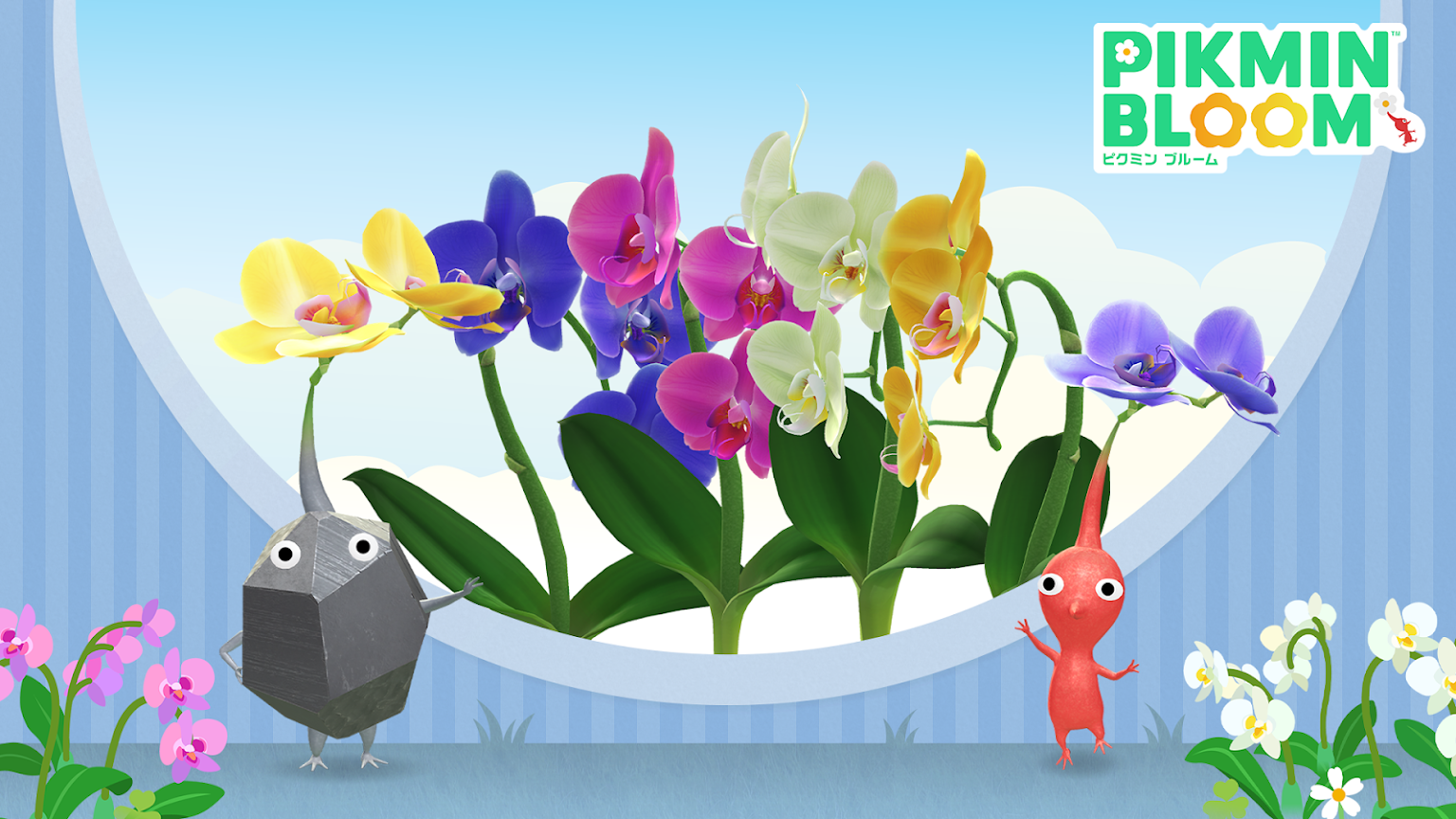 Pikmin Bloom(ピクミンブルーム)ピクミンとおでかけしよう✿Part26✿