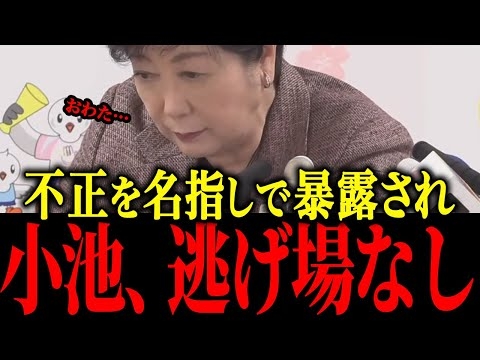 【小池百合子】※トンデモナイ不正を神谷が暴露…【佐藤沙織里 消費税 東京都議会本会議】
