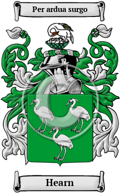 Hearn Name Meaning, Family History, Family Crest & Coats of Arms
