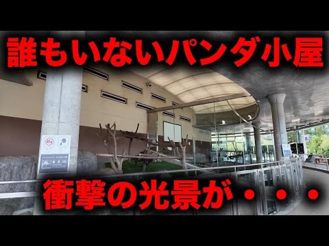 【和歌山の現実】パンダ返還後のアドベンチャーワールドが想像以上だった