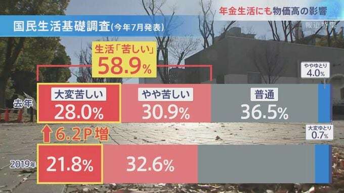 「おかずは5品から3品、2品に」家計簿から見える物価高騰　8.9兆円の対策に専門家が警告「100％違う」