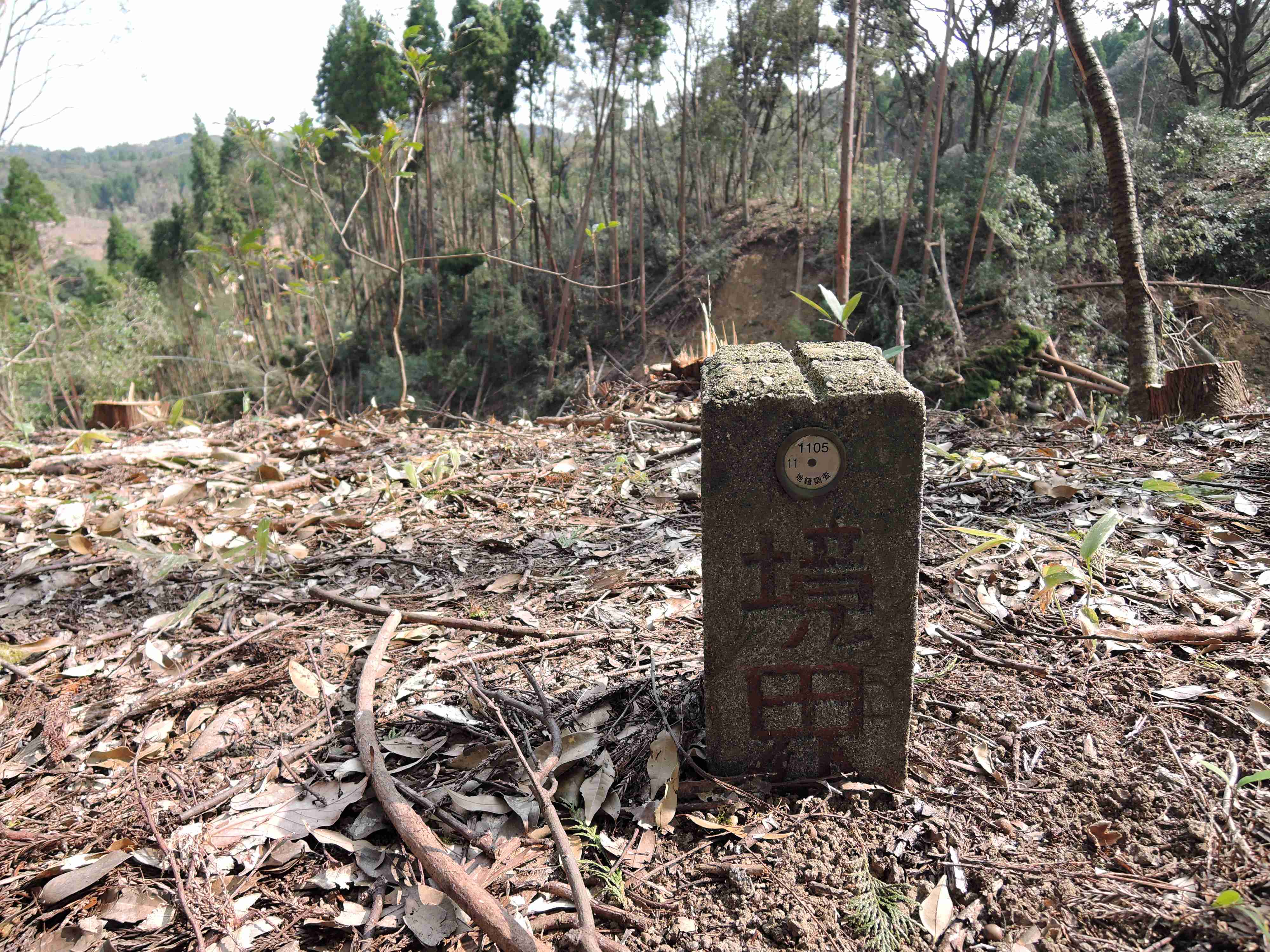 日本にもあった違法伐採！！　波紋拡がる宮崎県の盗伐事件 | 国際環境NGO FoE Japan