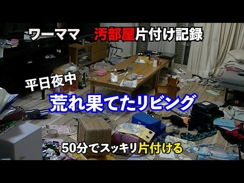 【汚部屋片付け記録】ワーママ夜中にリビング掃除
