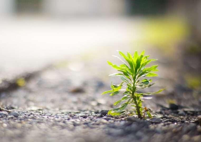 夫、パートナーと死別された方