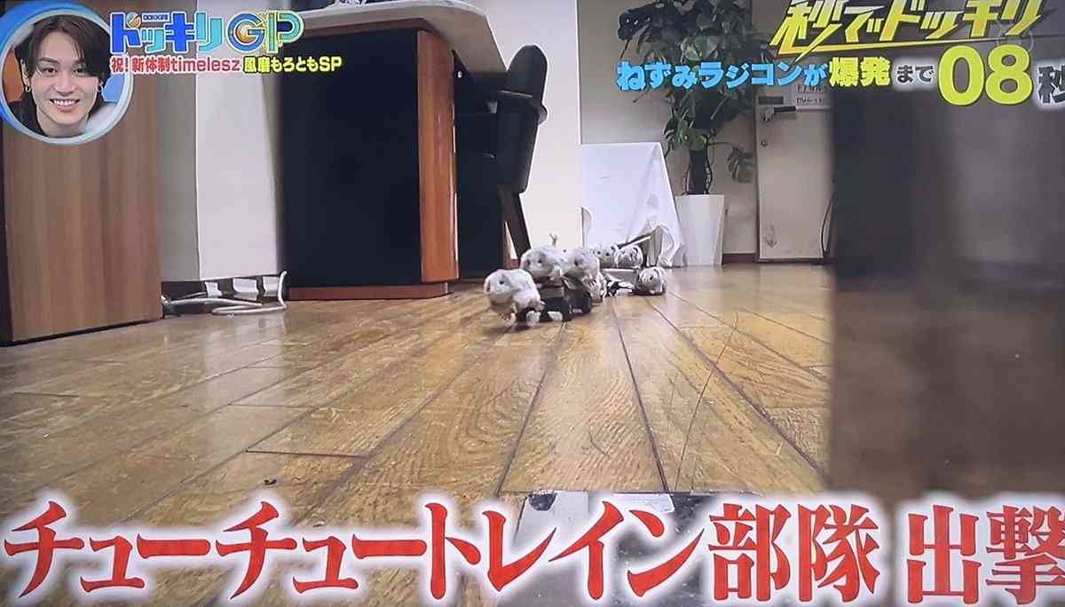 フジ「ドッキリGP」ロケでSUPER EIGHTの横山裕が「右肋骨骨折、腰椎捻挫」全治2カ月の重傷