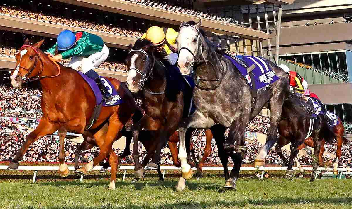 【注目馬動向】ＪＣでカラ馬「先頭ゴール」のアドマイヤテラは有馬記念目標　友道調教師「ファン投票をお願いします」（馬トク報知） - Yahoo!ニュース