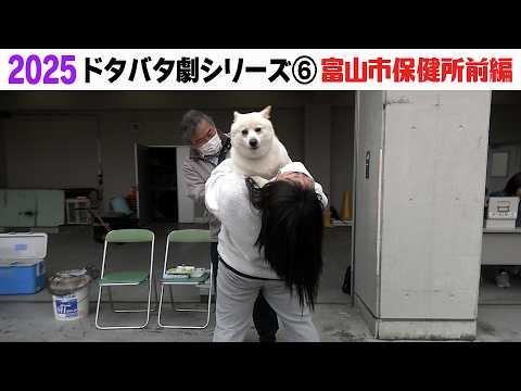 2025狂犬病予防注射会場のドタバタ劇⑥ 富山市保健所前編