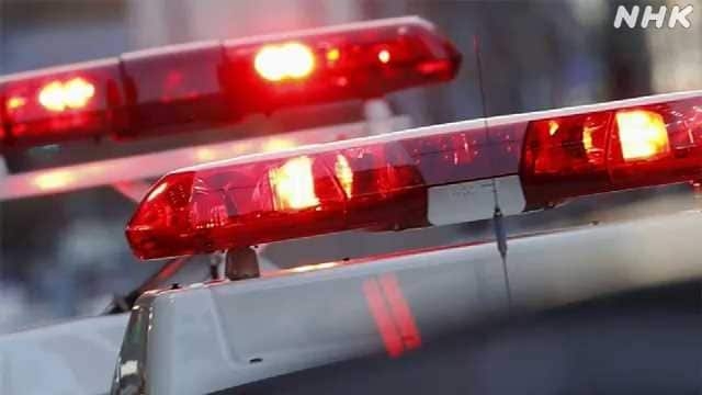 埼玉 横断歩道でひき逃げか 男性死亡 運転手から事情聞く | NHKニュース