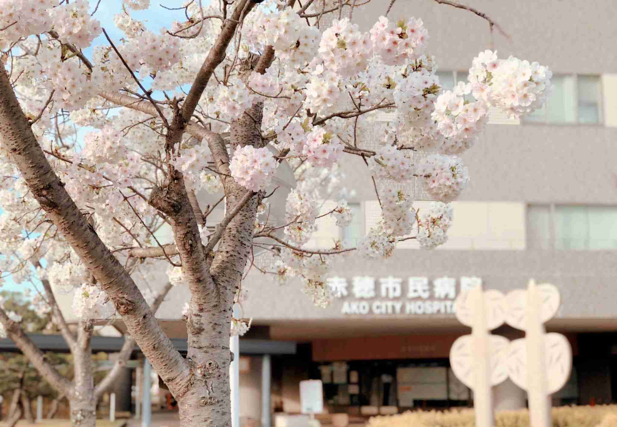 赤穂市民病院医療事故時系列 | 市民病院医療過誤記録