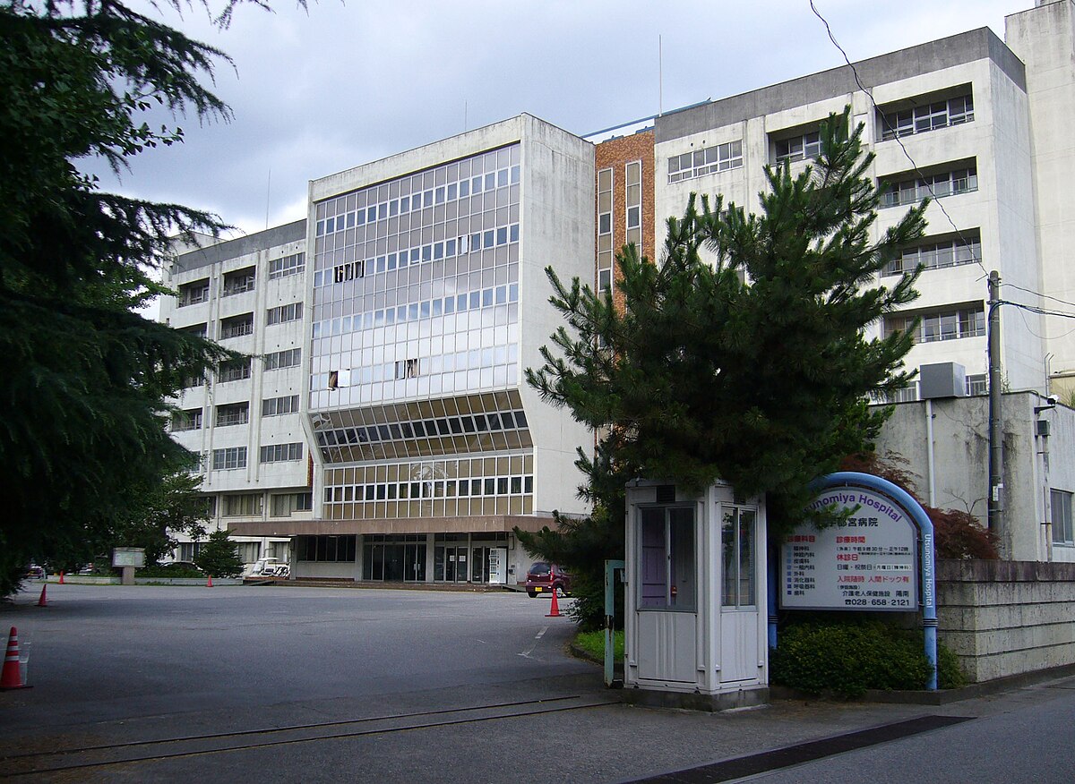 宇都宮病院事件 - Wikipedia