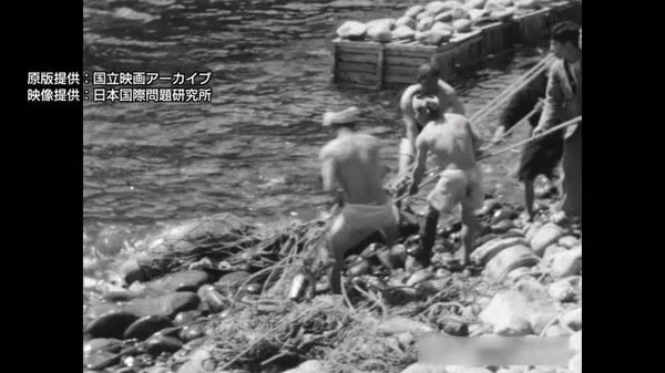“最古級の竹島”映像を公開　昭和9年撮影「ニホンアシカ猟」の様子を克明に記録　領土・主権展示館｜FNNプライムオンライン