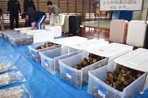 中国人3人、国の天然記念物オカヤドカリ数千匹160キロをスーツケースに詰め込む　無許可持ち出し疑いで逮捕　奄美大島