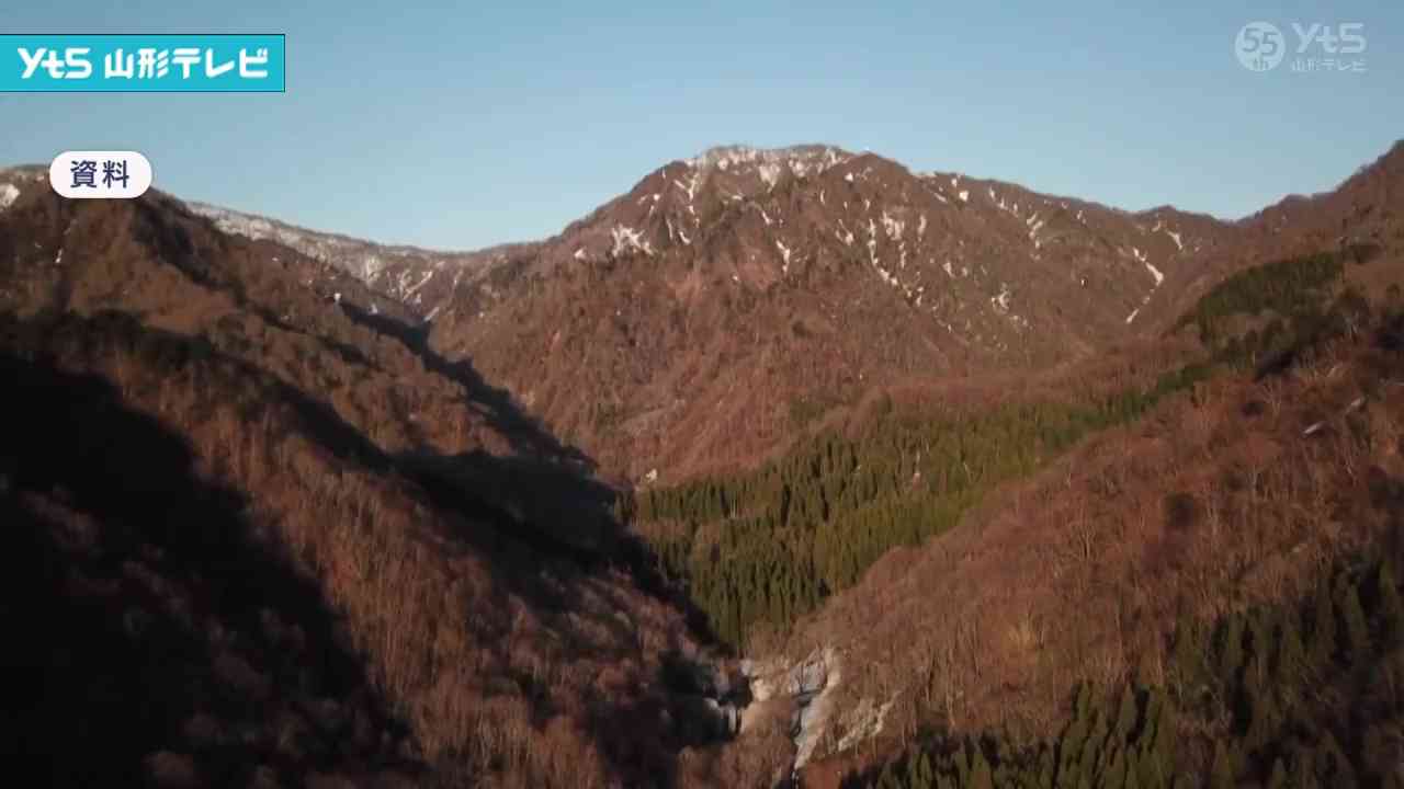 クマ駆除で誤射 小国町が男性を提訴へ　約1600万円を請求