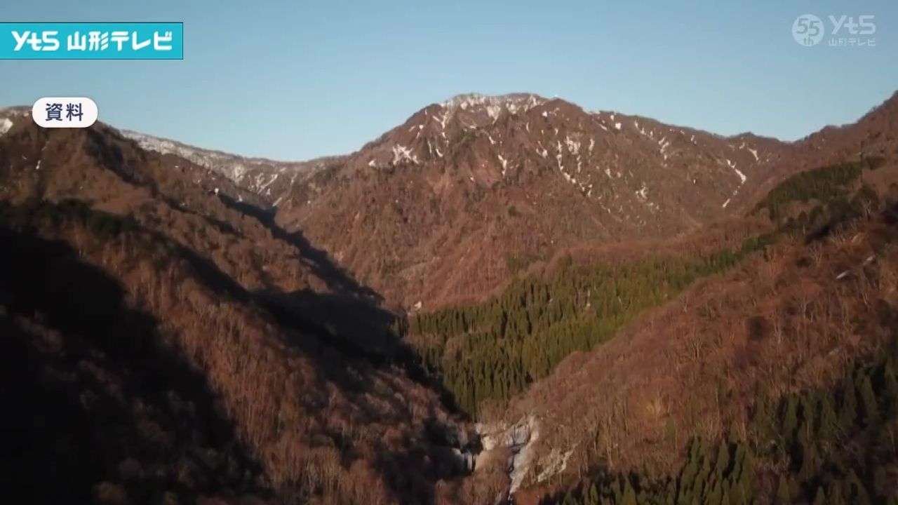 クマ駆除で誤射 町が男性を提訴へ - Yahoo!ニュース